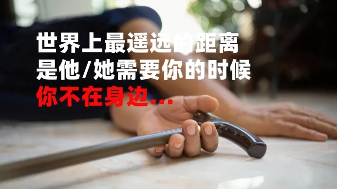 20241107_190643_000.jpg 20241107_190643_000.jpg